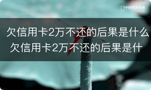 欠信用卡2万不还的后果是什么 欠信用卡2万不还的后果是什么意思