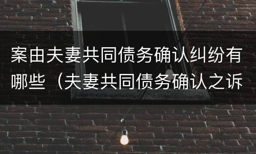 案由夫妻共同债务确认纠纷有哪些（夫妻共同债务确认之诉案例）