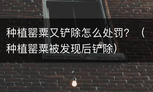 种植罂粟又铲除怎么处罚？（种植罂粟被发现后铲除）