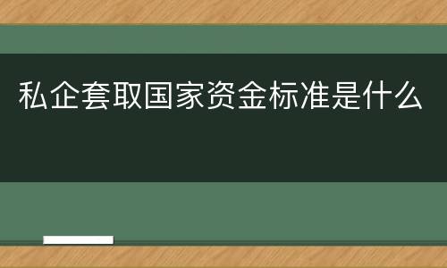 私企套取国家资金标准是什么
