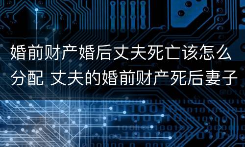 婚前财产婚后丈夫死亡该怎么分配 丈夫的婚前财产死后妻子可以继承吗
