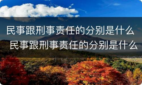民事跟刑事责任的分别是什么 民事跟刑事责任的分别是什么呢