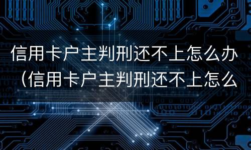 信用卡户主判刑还不上怎么办（信用卡户主判刑还不上怎么办呢）