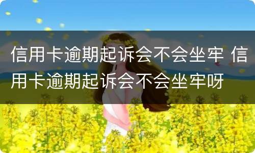 信用卡逾期起诉会不会坐牢 信用卡逾期起诉会不会坐牢呀