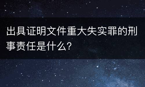出具证明文件重大失实罪的刑事责任是什么？