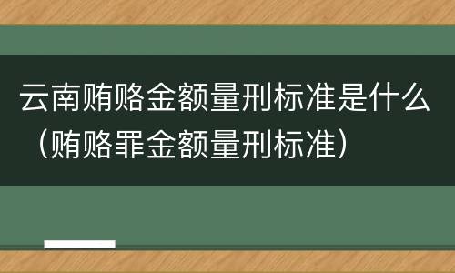 云南贿赂金额量刑标准是什么（贿赂罪金额量刑标准）