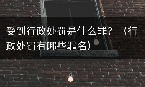 受到行政处罚是什么罪？（行政处罚有哪些罪名）
