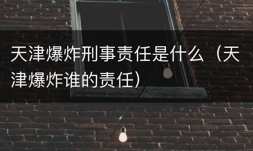 天津爆炸刑事责任是什么（天津爆炸谁的责任）