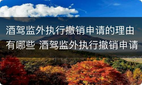 酒驾监外执行撤销申请的理由有哪些 酒驾监外执行撤销申请的理由有哪些情况