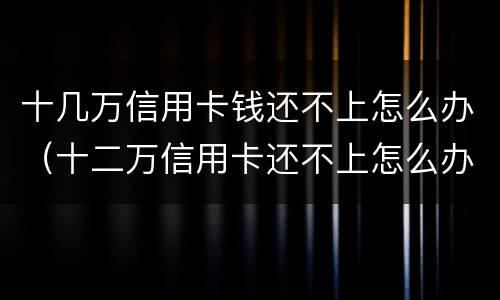 十几万信用卡钱还不上怎么办（十二万信用卡还不上怎么办）