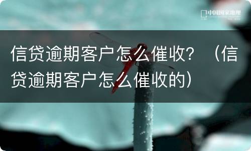 信贷逾期客户怎么催收？（信贷逾期客户怎么催收的）