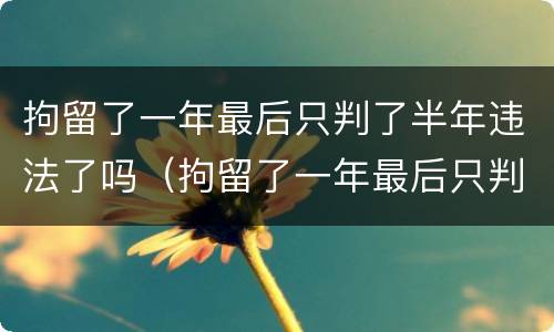 拘留了一年最后只判了半年违法了吗（拘留了一年最后只判了半年怎么回事）