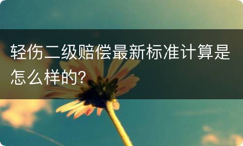 轻伤二级赔偿最新标准计算是怎么样的？