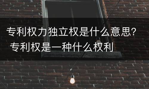 专利权力独立权是什么意思？ 专利权是一种什么权利