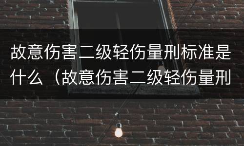 故意伤害二级轻伤量刑标准是什么（故意伤害二级轻伤量刑标准是什么意思）
