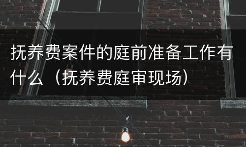抚养费案件的庭前准备工作有什么（抚养费庭审现场）