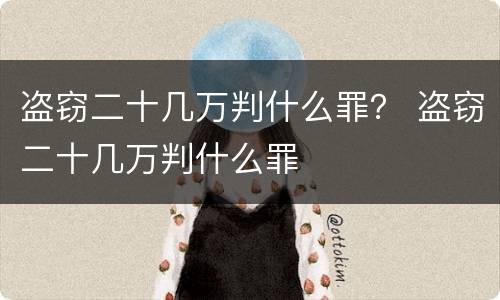 盗窃二十几万判什么罪？ 盗窃二十几万判什么罪