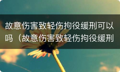 故意伤害致轻伤拘役缓刑可以吗（故意伤害致轻伤拘役缓刑可以吗判几年）