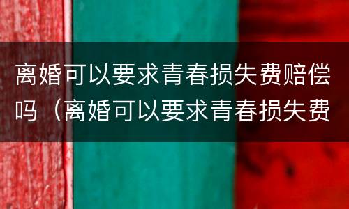 离婚可以要求青春损失费赔偿吗（离婚可以要求青春损失费赔偿吗）