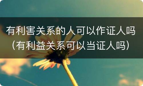 有利害关系的人可以作证人吗（有利益关系可以当证人吗）