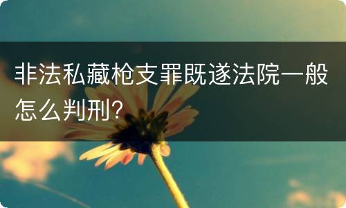 非法私藏枪支罪既遂法院一般怎么判刑?