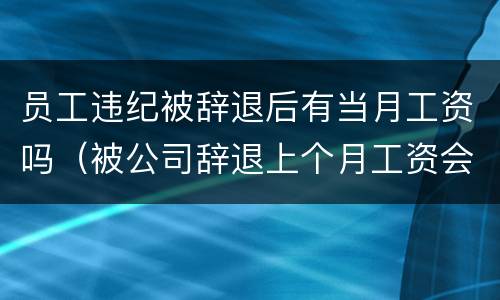 员工违纪被辞退后有当月工资吗（被公司辞退上个月工资会发嘛）