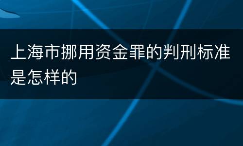 上海市挪用资金罪的判刑标准是怎样的