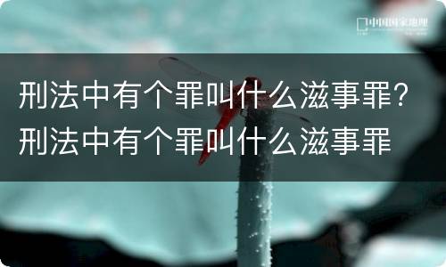 刑法中有个罪叫什么滋事罪? 刑法中有个罪叫什么滋事罪