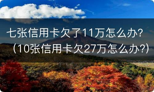 七张信用卡欠了11万怎么办？（10张信用卡欠27万怎么办?）