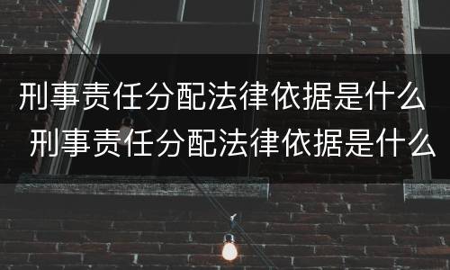 刑事责任分配法律依据是什么 刑事责任分配法律依据是什么意思
