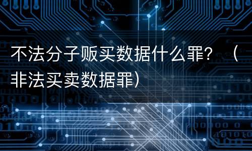 不法分子贩买数据什么罪？（非法买卖数据罪）