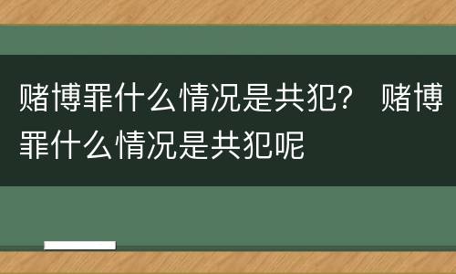 赌博罪什么情况是共犯？ 赌博罪什么情况是共犯呢
