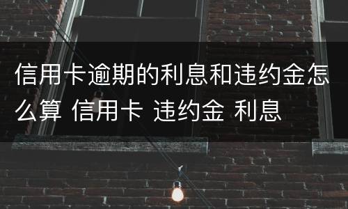 信用卡逾期的利息和违约金怎么算 信用卡 违约金 利息