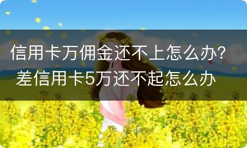 信用卡万佣金还不上怎么办？ 差信用卡5万还不起怎么办