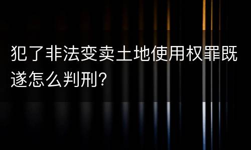 犯了非法变卖土地使用权罪既遂怎么判刑?