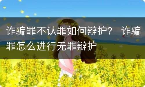 诈骗罪不认罪如何辩护？ 诈骗罪怎么进行无罪辩护