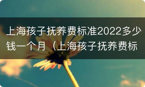 上海孩子抚养费标准2022多少钱一个月（上海孩子抚养费标准2021）