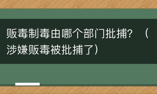 贩毒制毒由哪个部门批捕？（涉嫌贩毒被批捕了）