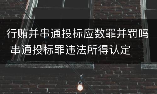 行贿并串通投标应数罪并罚吗 串通投标罪违法所得认定