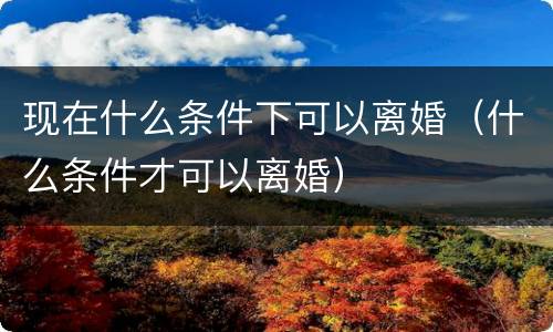 现在什么条件下可以离婚（什么条件才可以离婚）