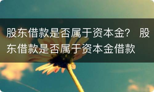 股东借款是否属于资本金？ 股东借款是否属于资本金借款