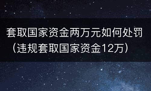 套取国家资金两万元如何处罚（违规套取国家资金12万）