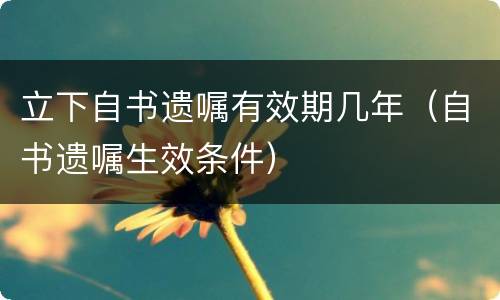 立下自书遗嘱有效期几年（自书遗嘱生效条件）