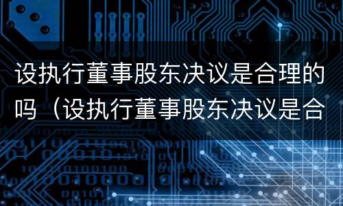 设执行董事股东决议是合理的吗（设执行董事股东决议是合理的吗）