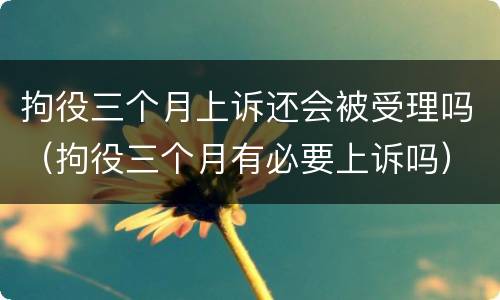 拘役三个月上诉还会被受理吗（拘役三个月有必要上诉吗）