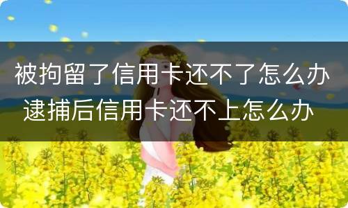 被拘留了信用卡还不了怎么办 逮捕后信用卡还不上怎么办