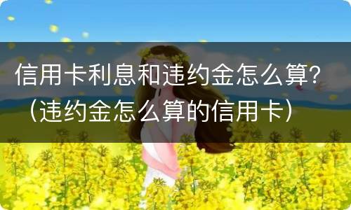 信用卡利息和违约金怎么算？（违约金怎么算的信用卡）