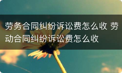 劳务合同纠纷诉讼费怎么收 劳动合同纠纷诉讼费怎么收