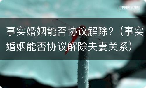 事实婚姻能否协议解除?（事实婚姻能否协议解除夫妻关系）