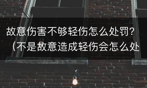 故意伤害不够轻伤怎么处罚？（不是故意造成轻伤会怎么处罚）